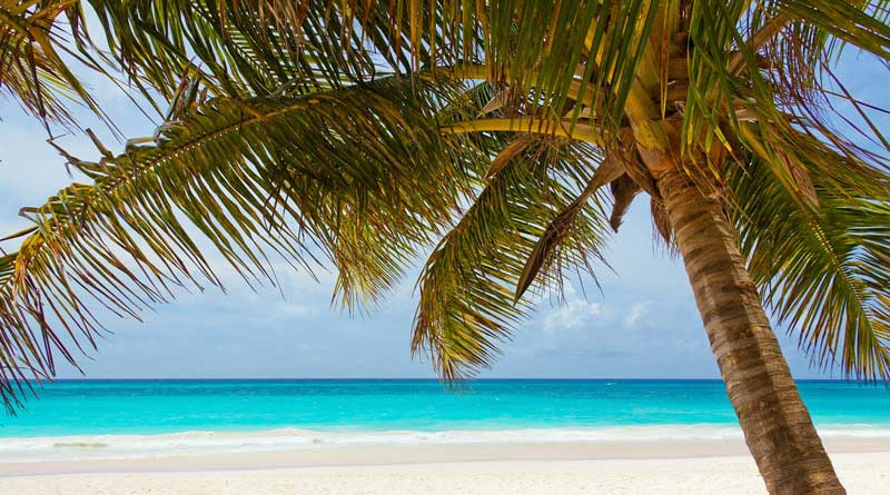 Conduciendo a Conciencia