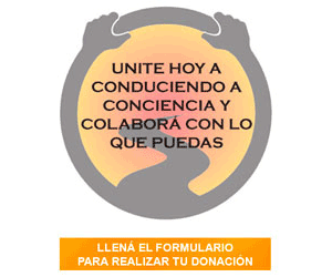 Conduciendo a Conciencia