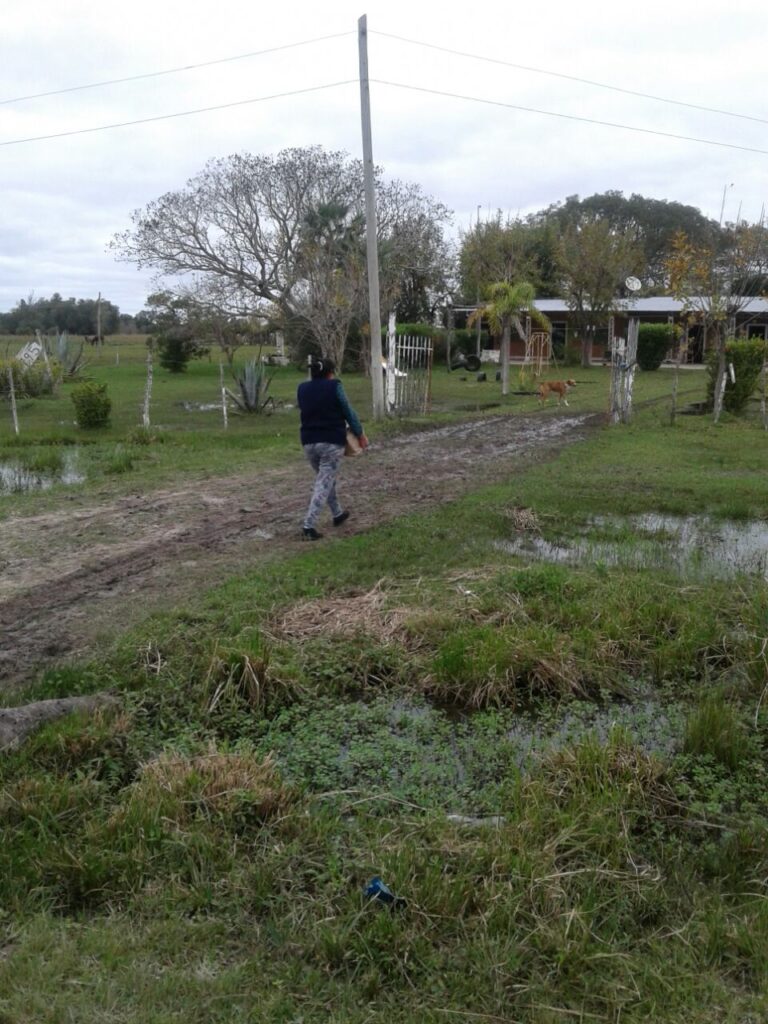 Conduciendo a Conciencia